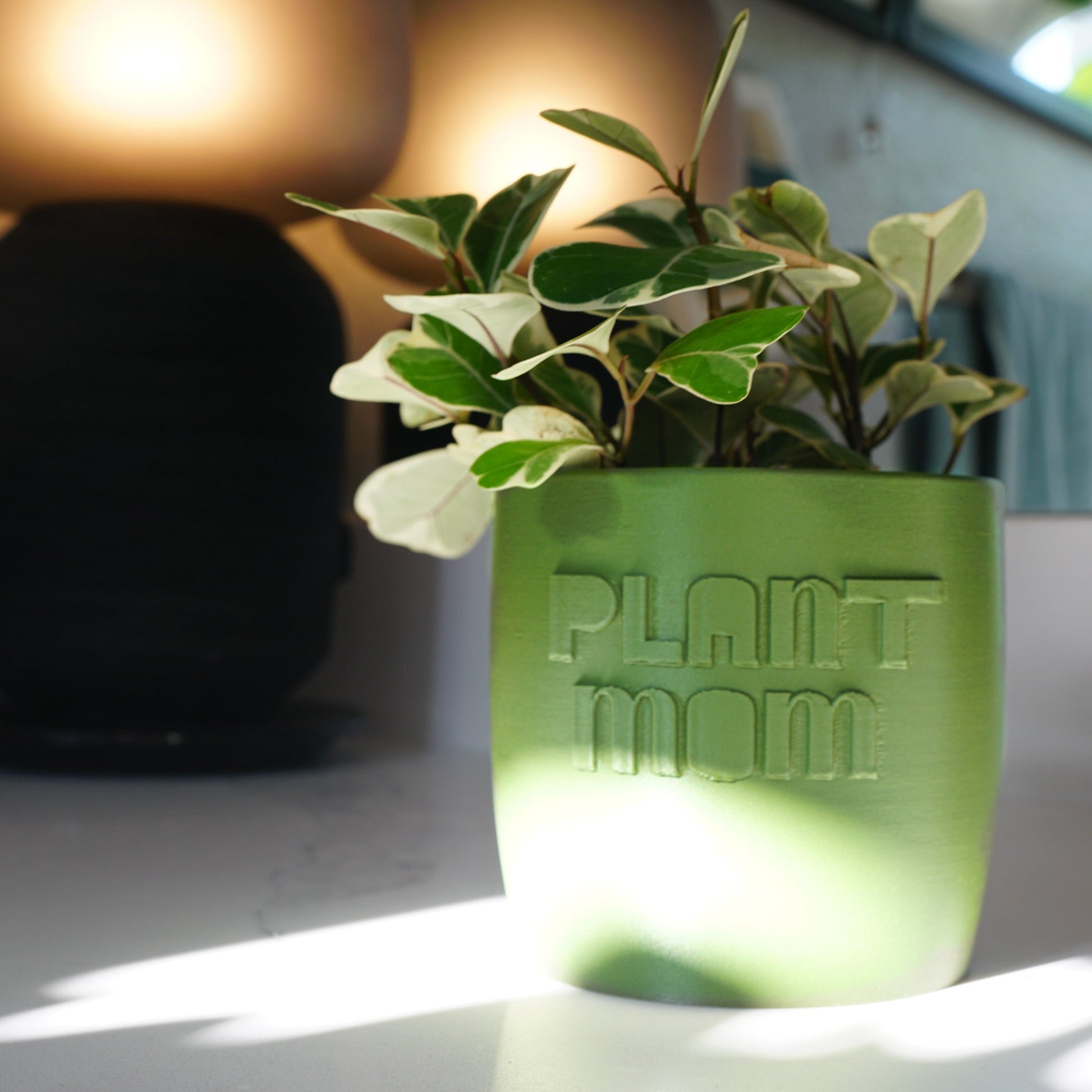 mother plant pot size 3D Printed Plant Pot and Air Plant Holder – Stylish, Durable, Eco-Friendly, Modern Design, Indoor & Outdoor Use, Multiple Sizes & Colors, Lightweight, Easy to Clean, Perfect for Houseplants, Unique Planter, Decorative