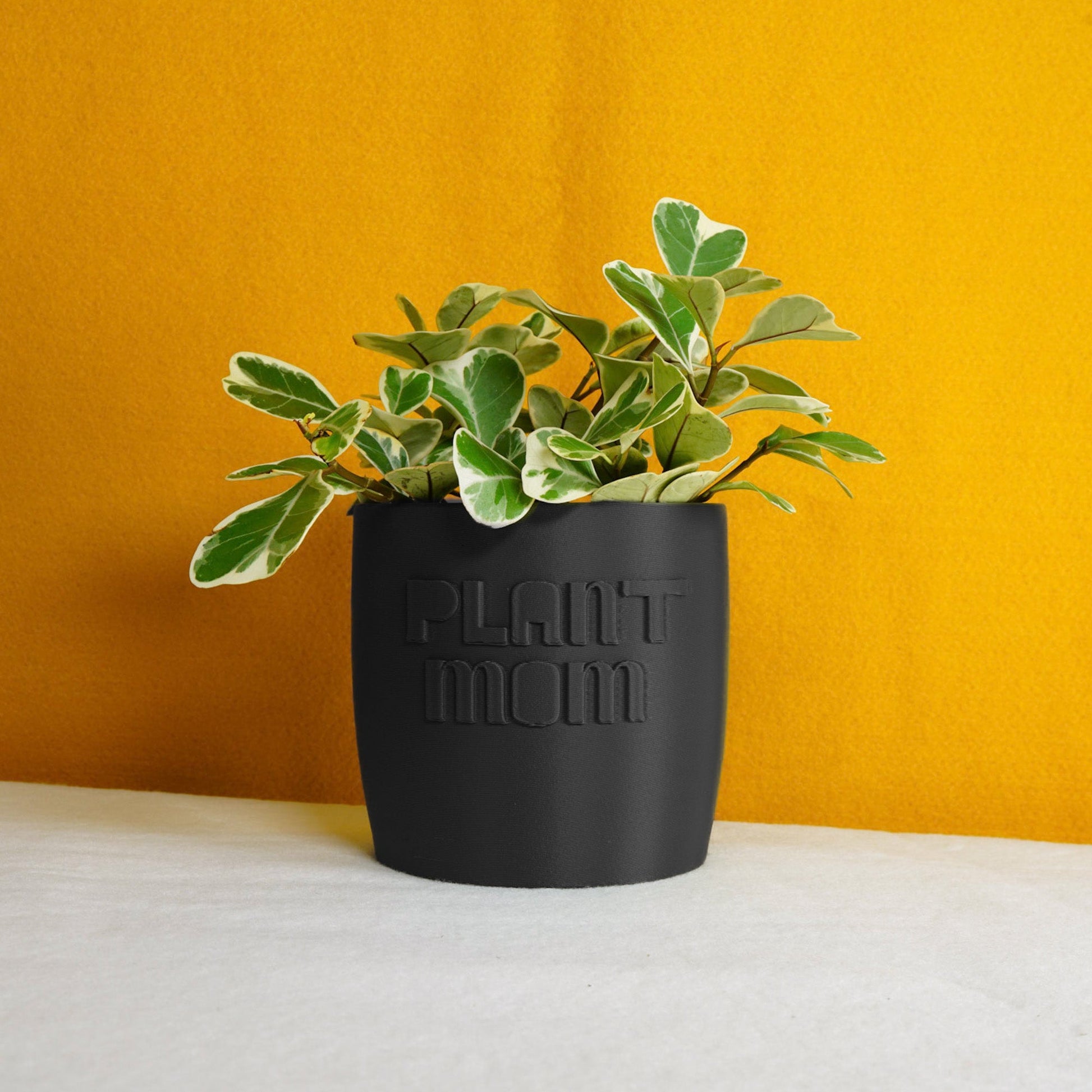Plant Mom Planter - Rosebud HomeGoods 4 Inch Black Without Drip Tray MODERN HOME GOOD