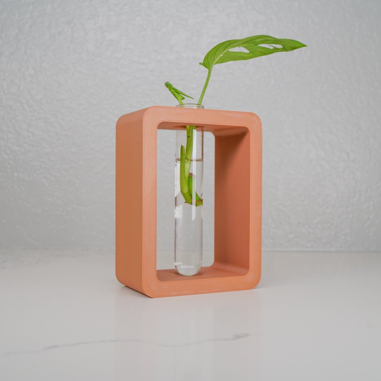 Rectangle Propagation Station - Rosebud HomeGoods Terracotta Stand & Tube MODERN HOME GOOD