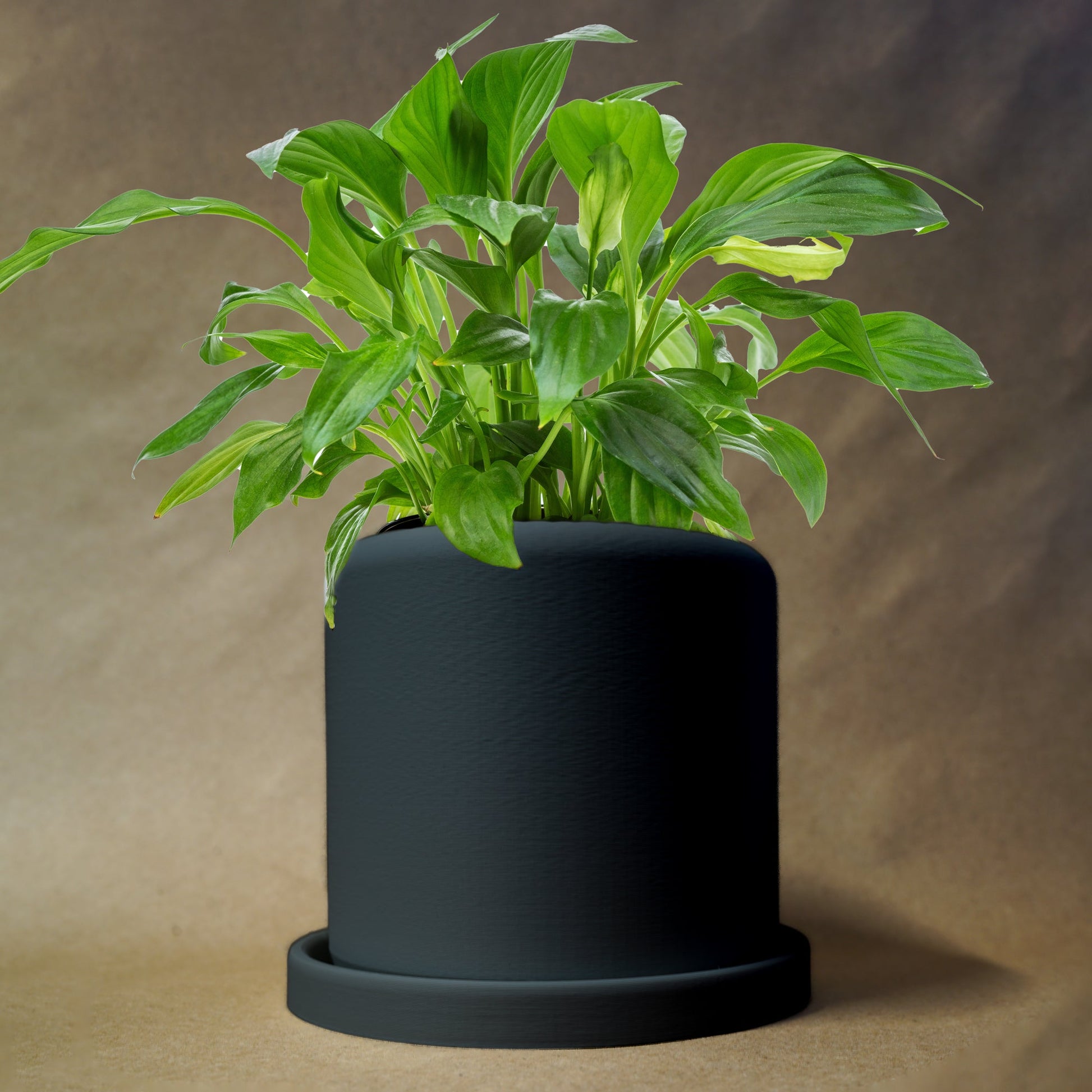 Round Planter - Rosebud HomeGoods 4” No Drip Tray Black MODERN HOME GOOD