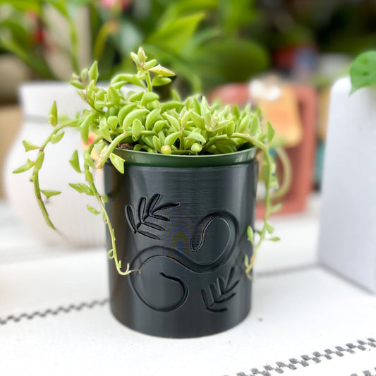 Snake Planter - Rosebud HomeGoods 4 Black With Drip Tray MODERN HOME GOOD
