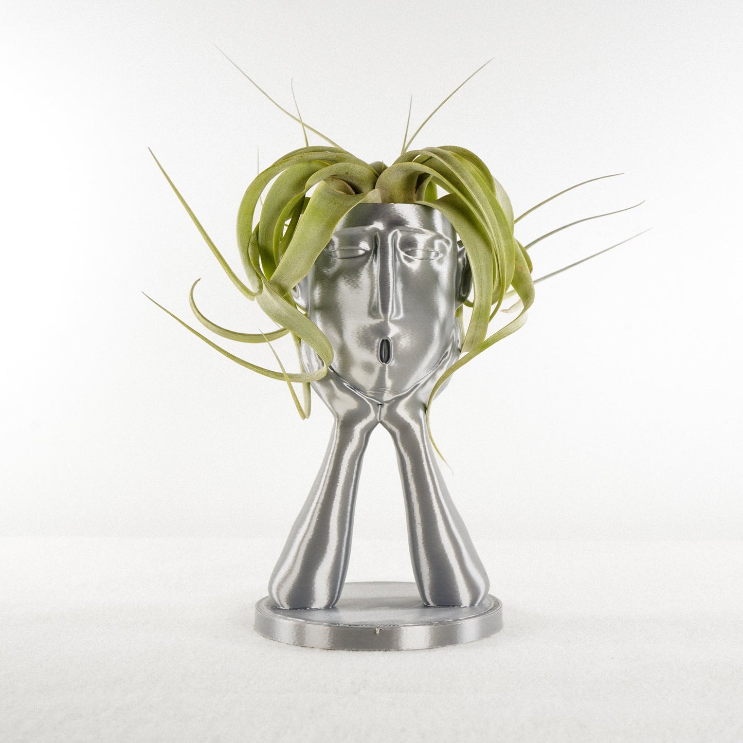 Stonehenge Air Head Planter - Rosebud HomeGoods Silver With Air Plant MODERN HOME GOOD