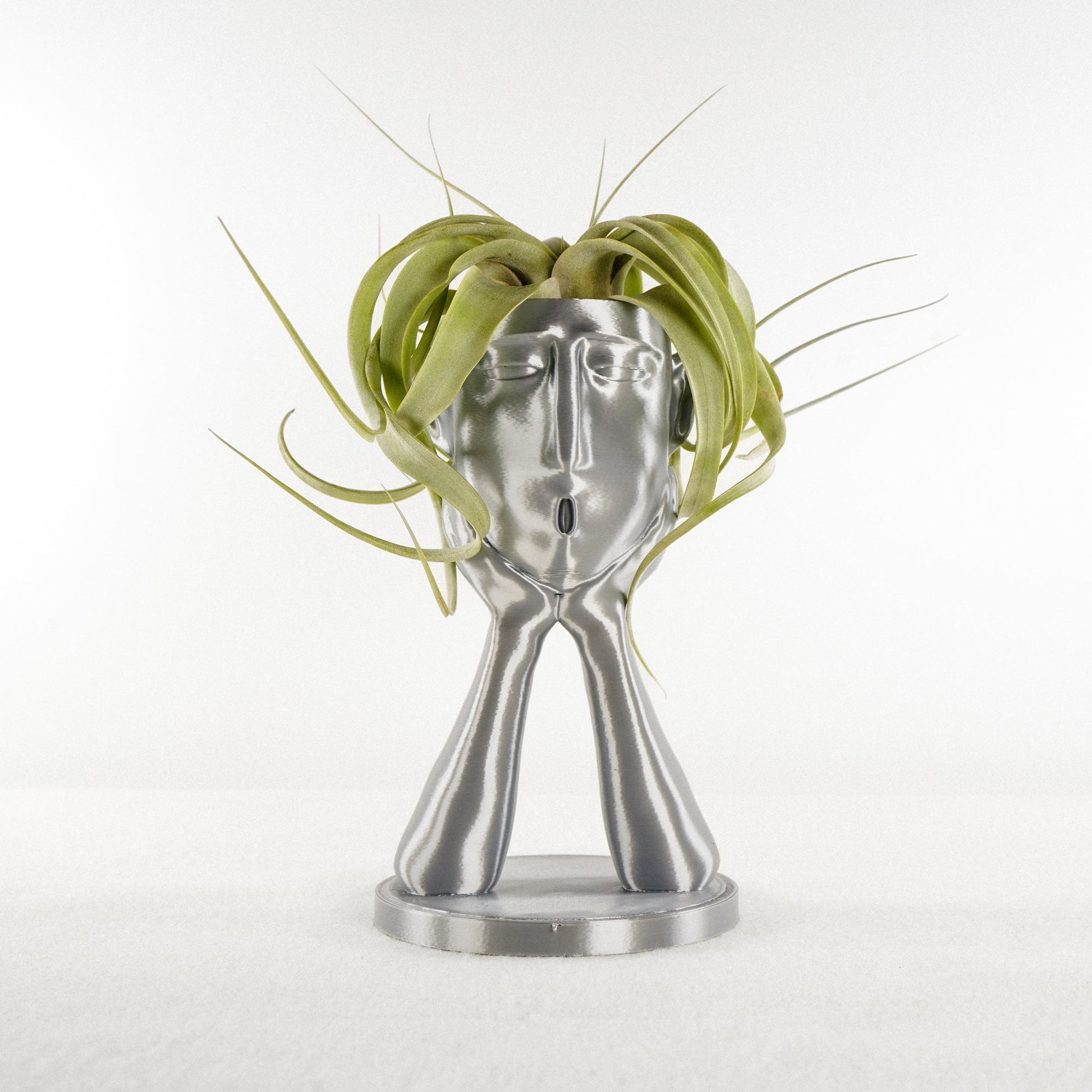 Stonehenge Air Head Planter - Rosebud HomeGoods Silver With Air Plant MODERN HOME GOOD