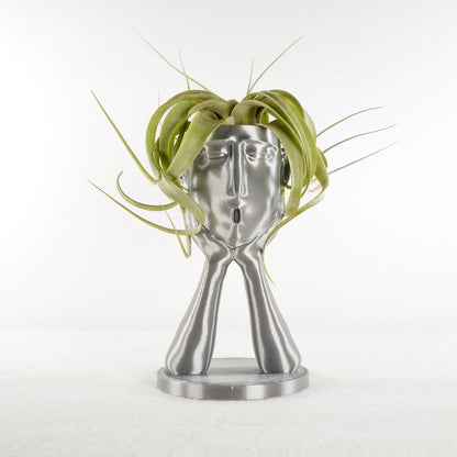 Stonehenge Air Head Planter - Rosebud HomeGoods Silver With Air Plant MODERN HOME GOOD