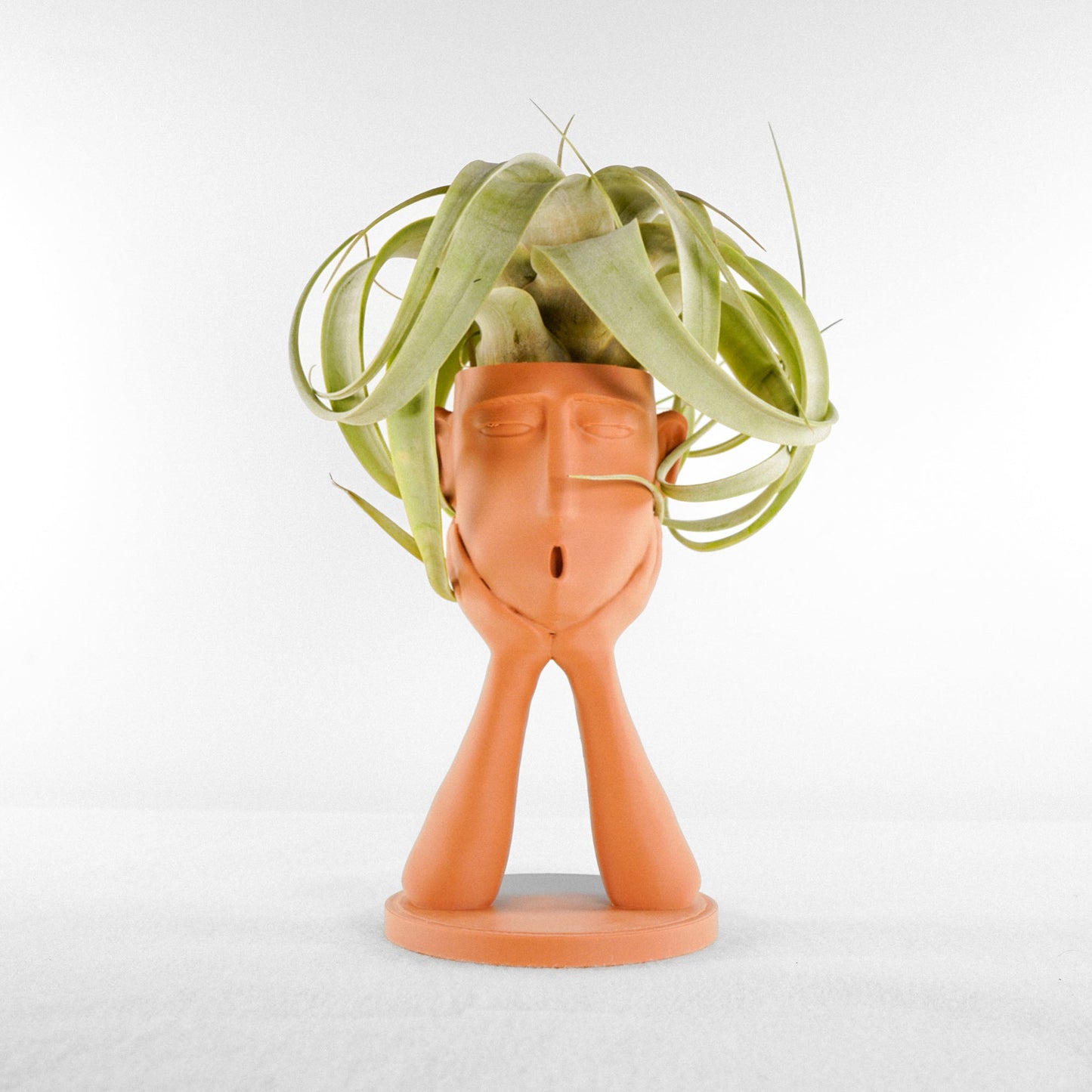 Stonehenge Air Head Planter - Rosebud HomeGoods Terracotta With Air Plant MODERN HOME GOOD