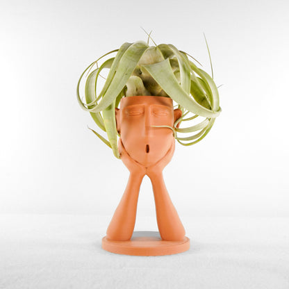 Stonehenge Air Head Planter - Rosebud HomeGoods Terracotta With Air Plant MODERN HOME GOOD