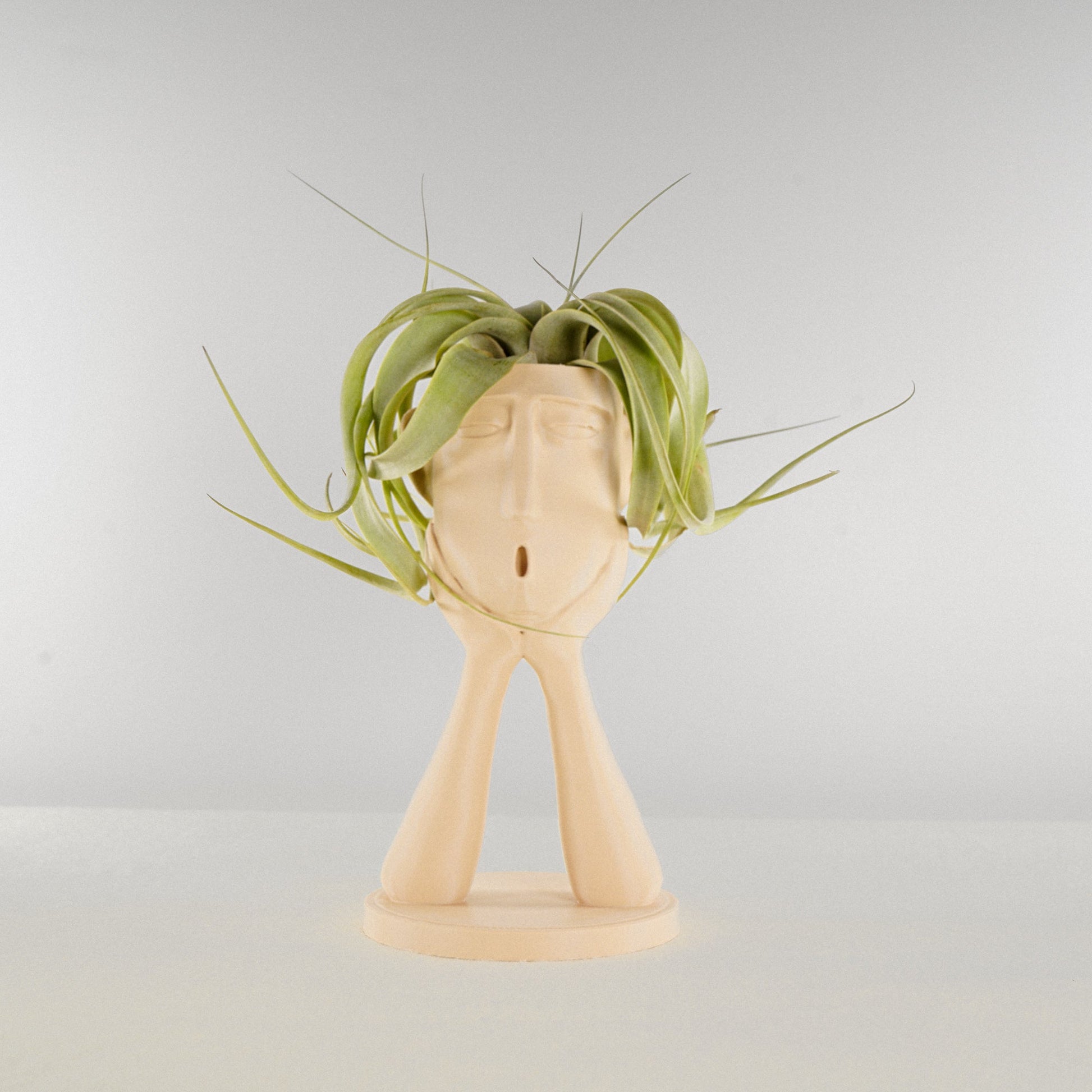 Stonehenge Air Head Planter - Rosebud HomeGoods Beige With Air Plant MODERN HOME GOOD