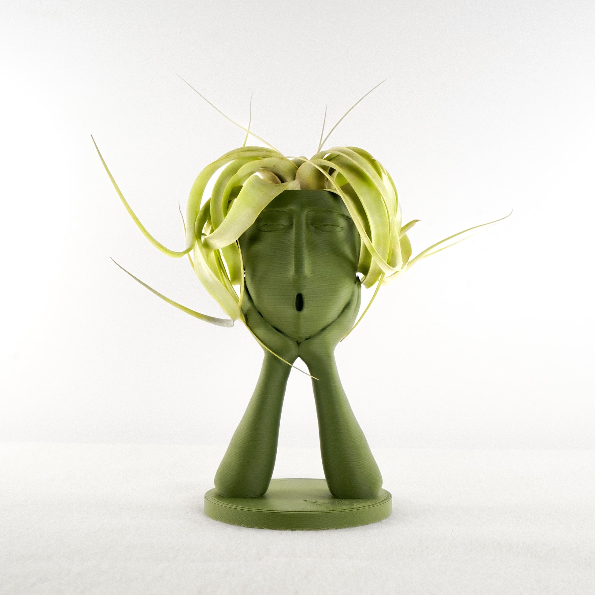 Stonehenge Air Head Planter - Rosebud HomeGoods Green With Air Plant MODERN HOME GOOD