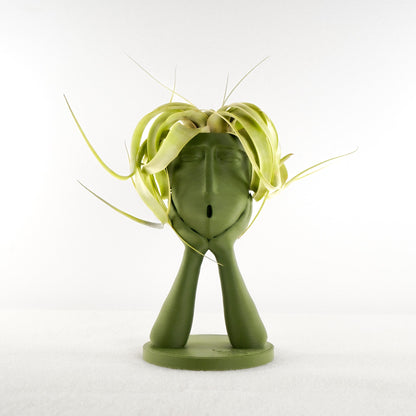 Stonehenge Air Head Planter - Rosebud HomeGoods Green With Air Plant MODERN HOME GOOD