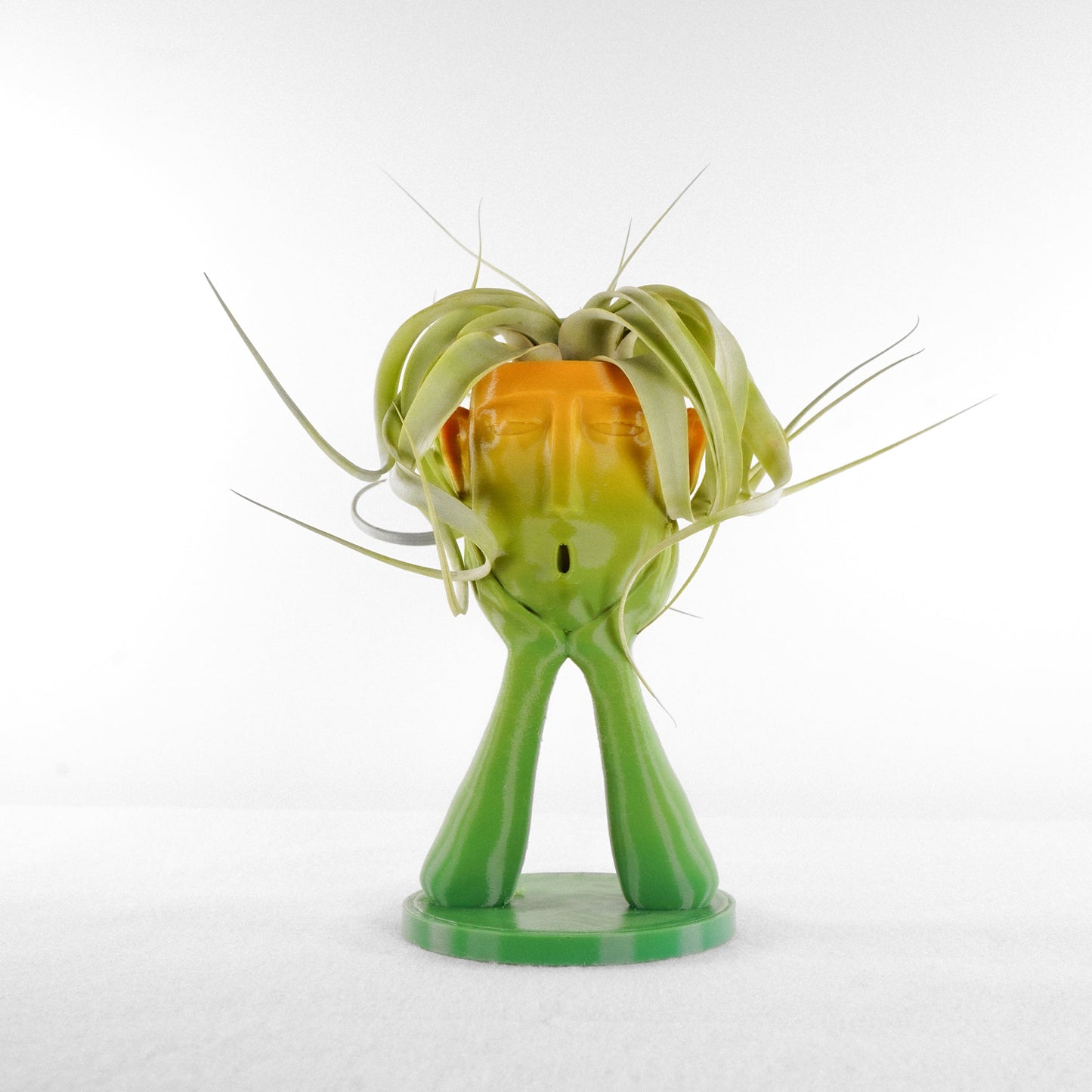 Stonehenge Air Head Planter - Rosebud HomeGoods Copper With Air Plant MODERN HOME GOOD
