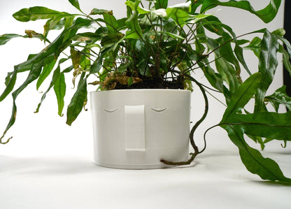 Stonehenge Face Planter - Rosebud HomeGoods 4 Black Without Drip Tray MODERN HOME GOOD