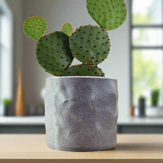 The Konya Planter Pot - Rosebud HomeGoods Black 4 Without Drip Tray MODERN HOME GOOD