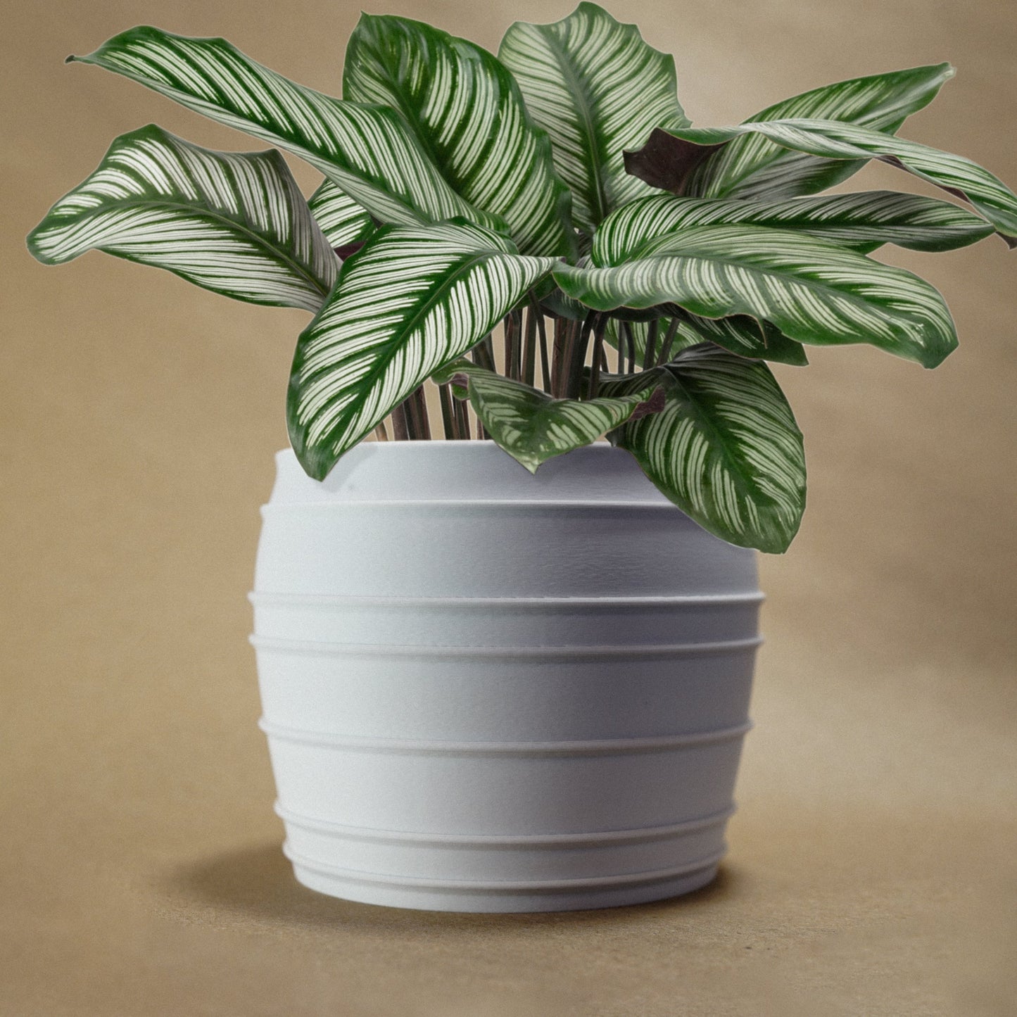 The Vintage Siena Planter - Rosebud HomeGoods White 4 Without Drip Tray MODERN HOME GOOD