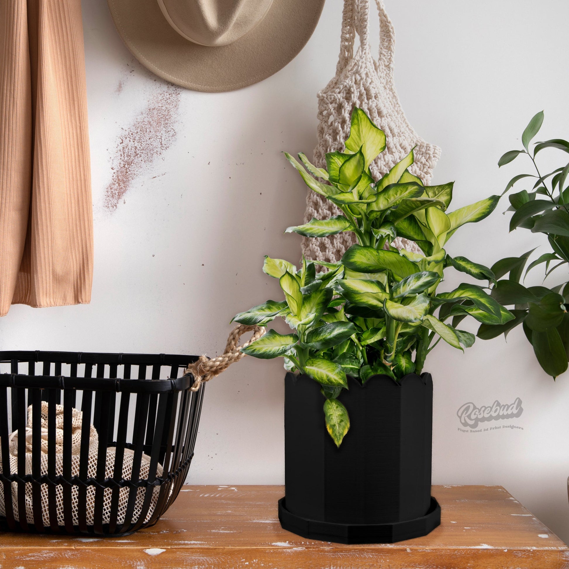 cache pots for indoor plants Unique Plant Pot, Mid Century Modern Pots with Drainage and Saucer, Cache Planter Pot – Rosebud HomeGoods