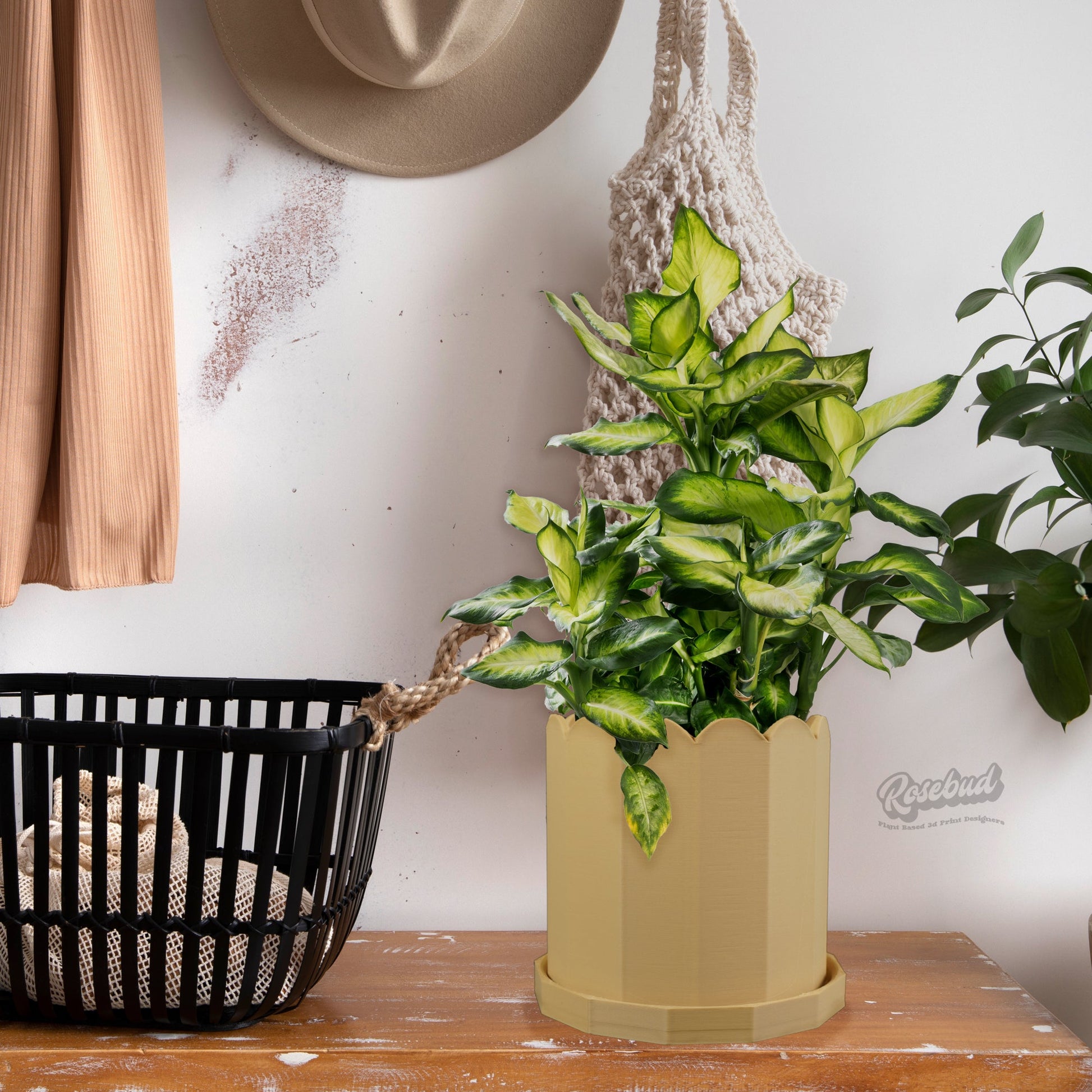 large indoor plant pots with saucers Unique Plant Pot, Mid Century Modern Pots With Drainage and Saucer, Cache Planter Pot Green / 8 / With Drip Tray
