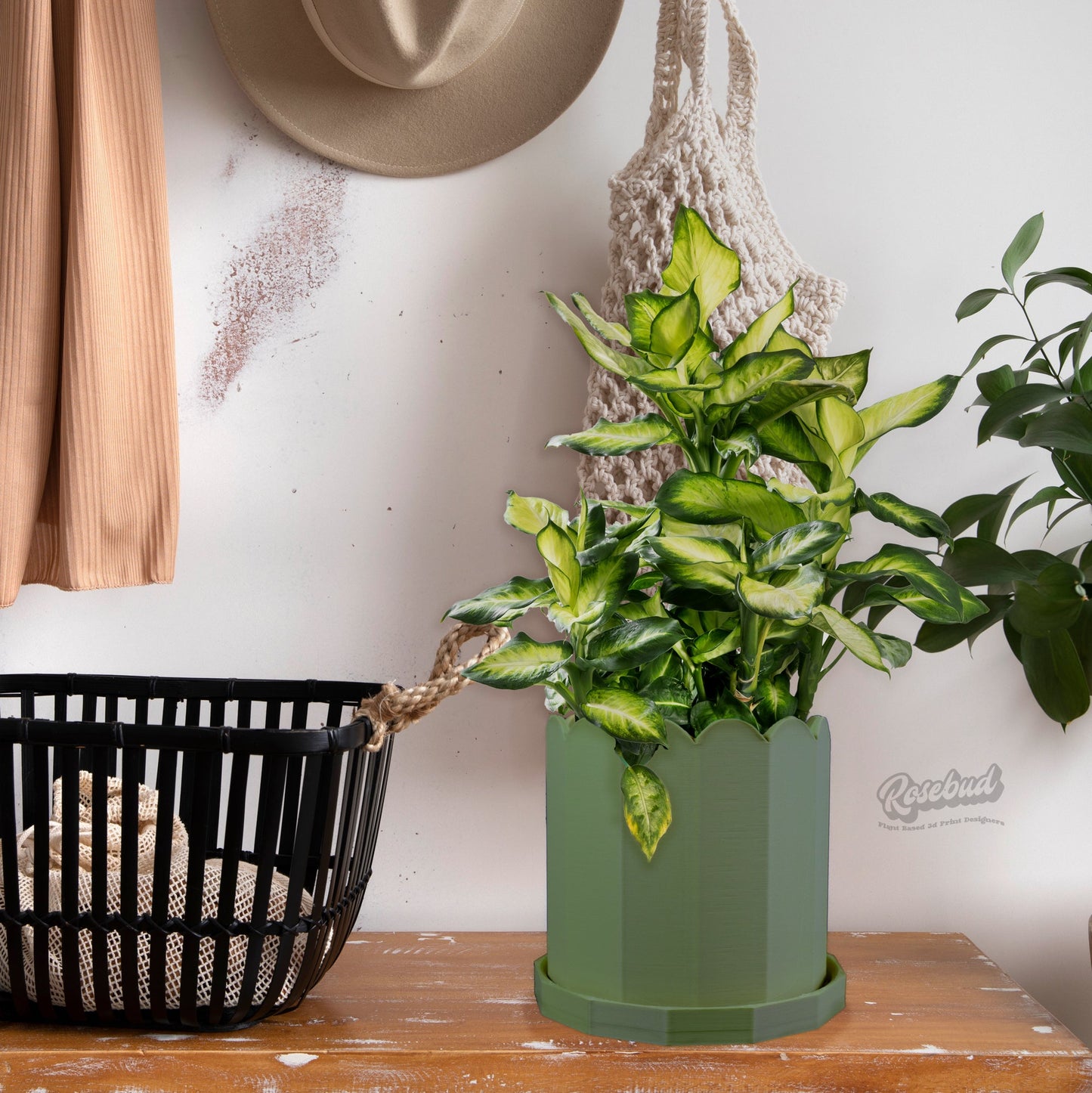 Unique Plant Pot, Mid Century Modern Pots with Drainage and Saucer, Cache Planter Pot - Rosebud HomeGoods Black 4 Without Drip Tray MODERN HOME GOOD