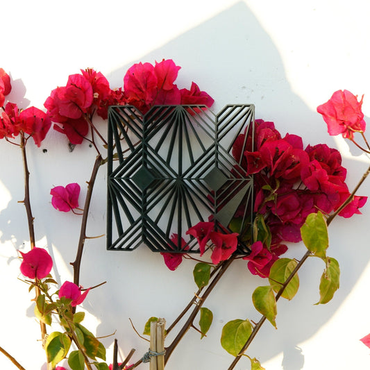 Wall Trellis - Art Decor Modern Plant Support, Cottagecore Decor, Ideal for Vining Plants, Unique Home Decor, 3D Printed for Plants, Sun - Rosebud HomeGoods Black MODERN HOME GOOD